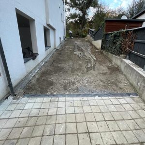   (1)